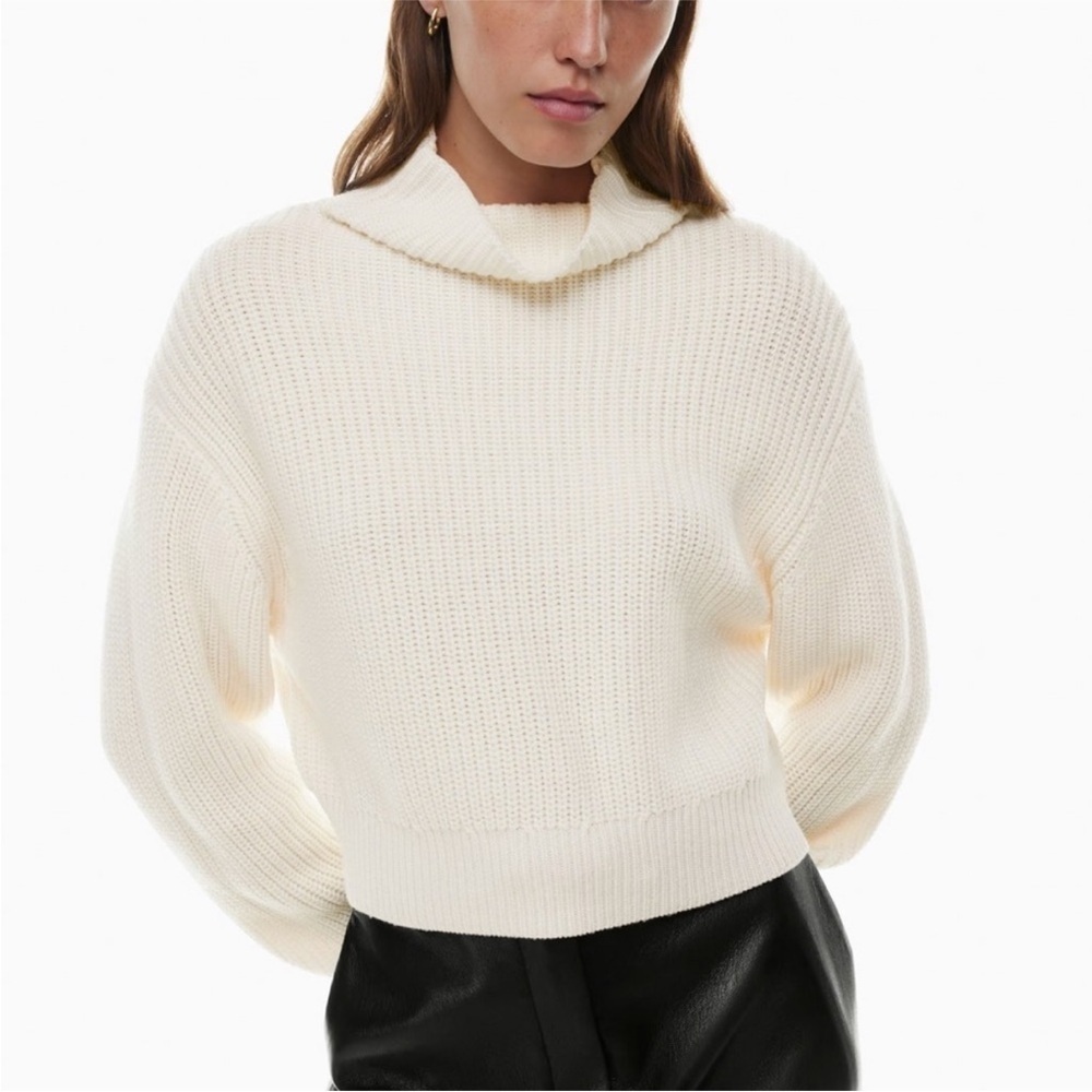Wilfred Aritzia Montpellier Merino Wool Turtleneck Sweater